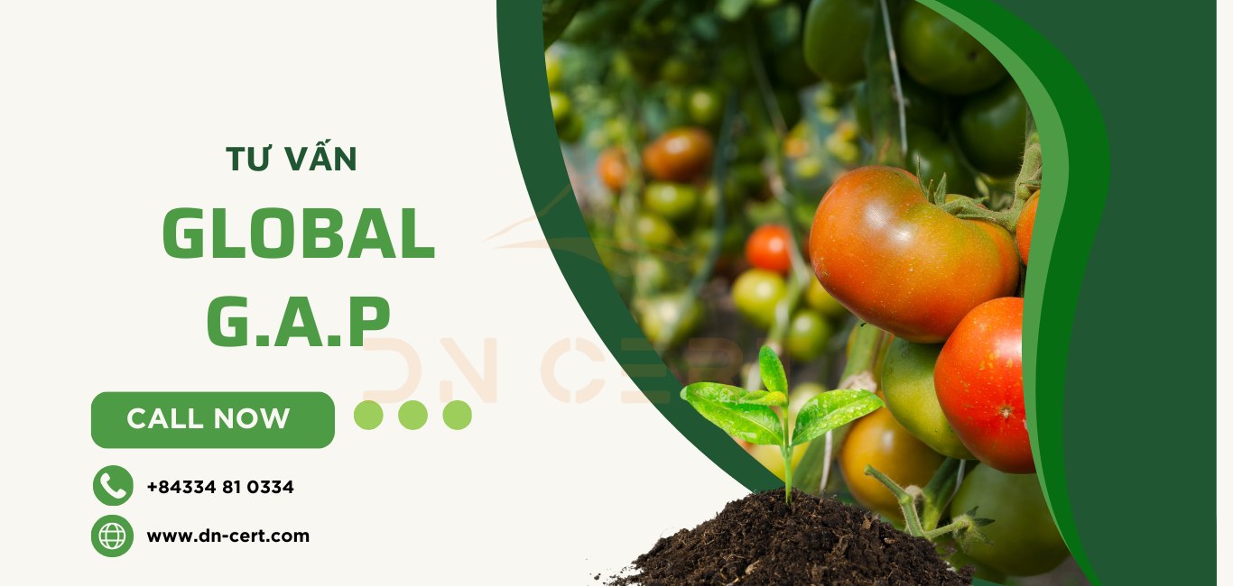 Tư vấn Chứng nhận GLOBALG.A.P