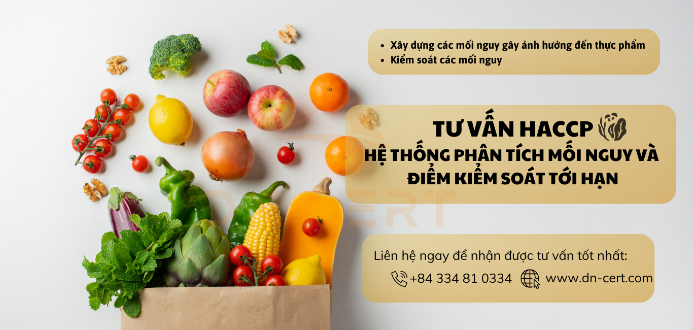 TƯ VẤN HACCP - HỆ THỐNG PHÂN TÍCH MỐI NGUY VÀ ĐIỂM KIỂM SOÁT TỚI HẠN