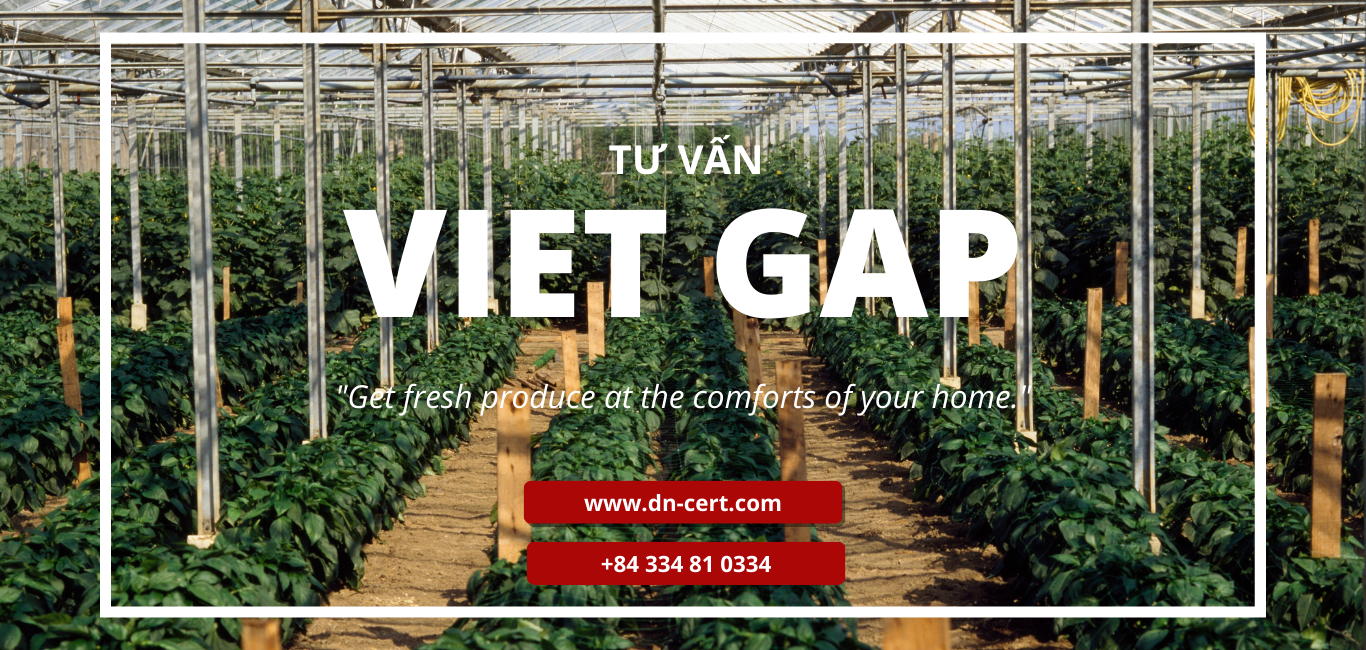 Tư vấn Chứng nhận VietGAP