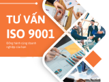 TƯ VẤN ISO 9001-2015